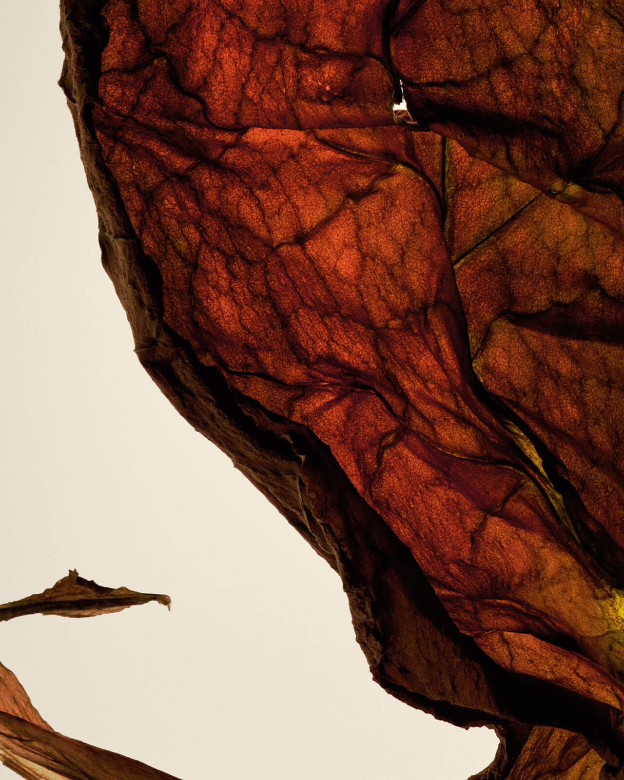 MAGHRIB PERFUME OIL BY UNIFROM