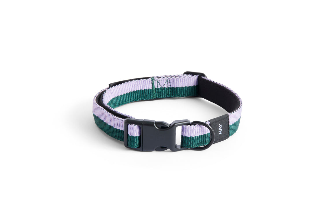 DOGS COLLAR BY HAY