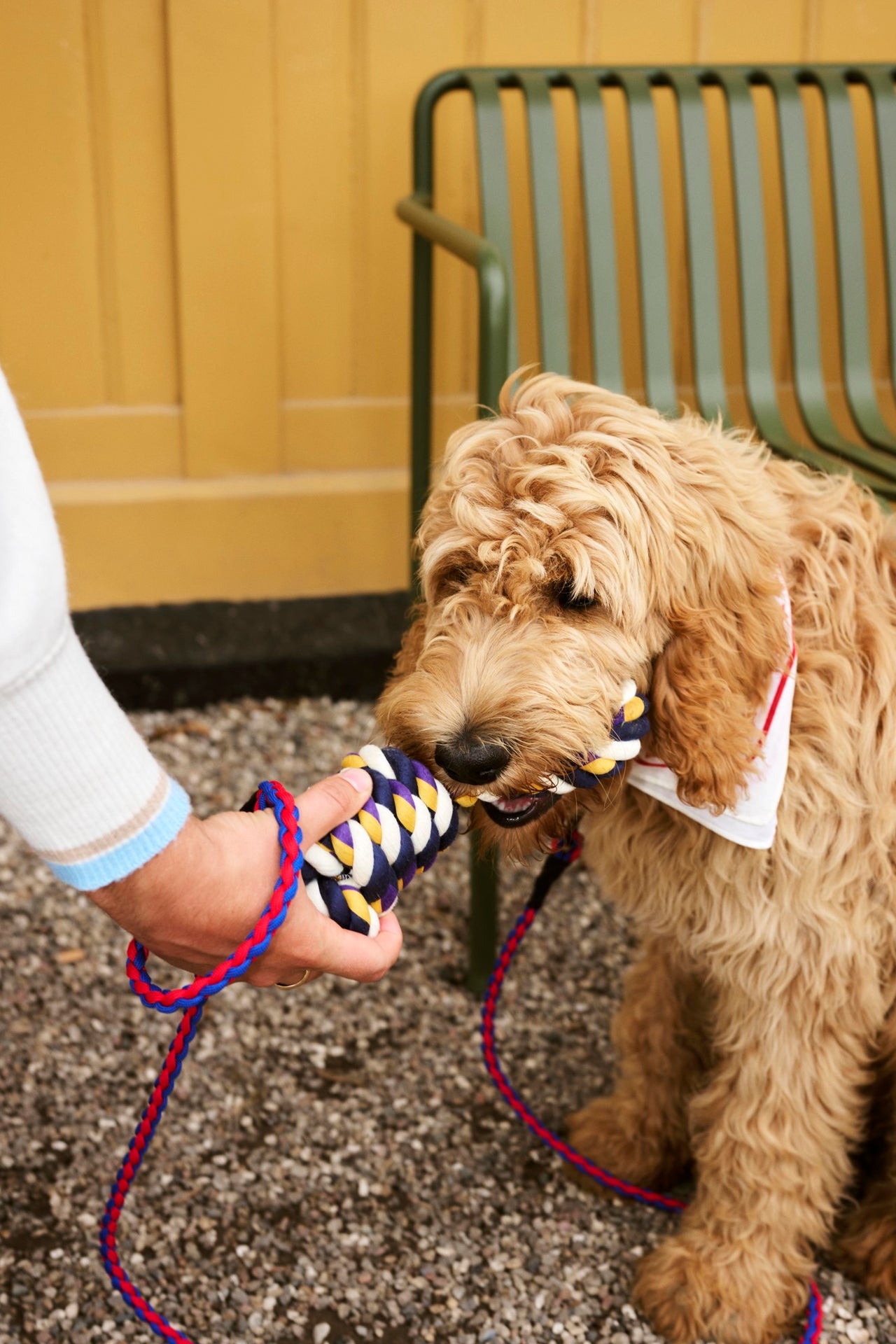 BRAIDED DOGS LEASH BY HAY